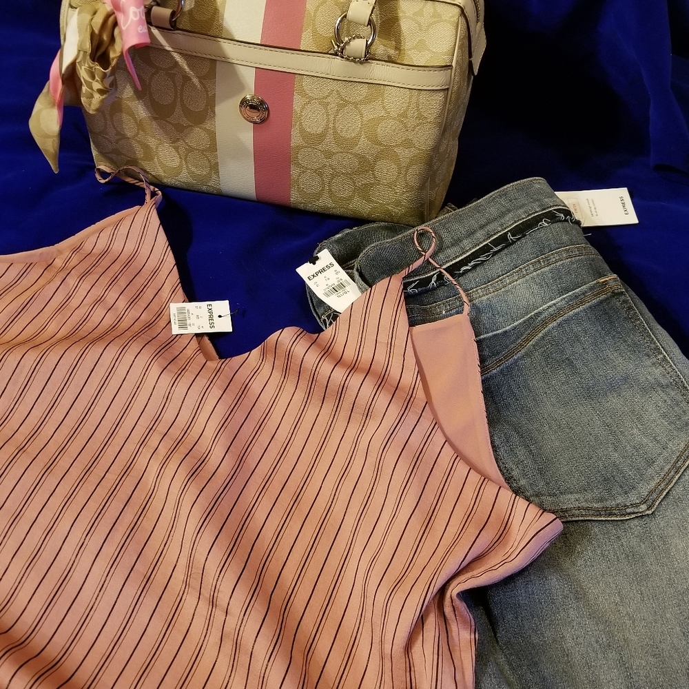 NWT Pink and Black striped Satin Cami by EXPRESS
